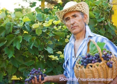 wine-farmer-italy