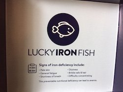 Make Iron Intake Easy with Lucky Iron Fish – Geek Mamas